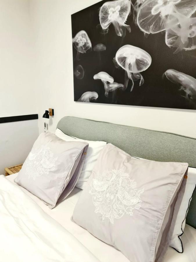 Royal Park- Magical Garden Apartment เอลัต ภายนอก รูปภาพ